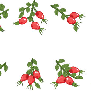 Rose hip PNG