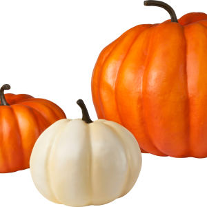 Pumpkin PNG