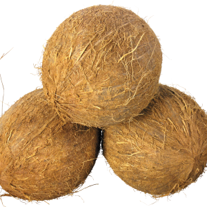 Coconuts PNG image