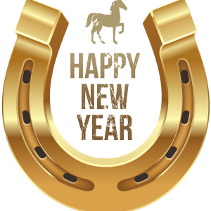Horseshoe PNG