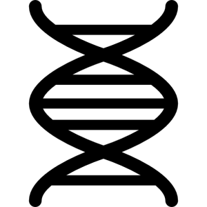 DNA PNG