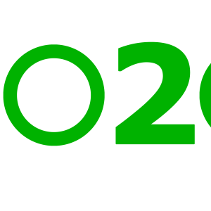 2020 year PNG