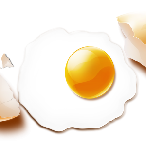 Fried egg PNG