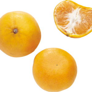 Mandarin PNG