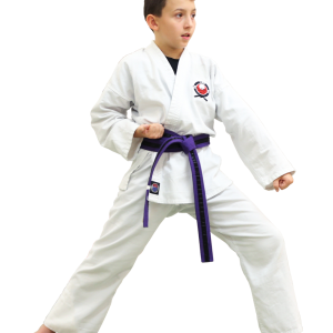 Karate PNG