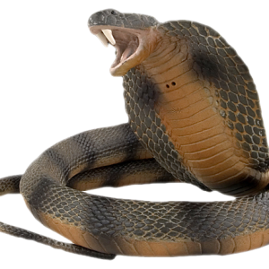Cobra PNG