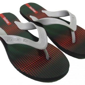 Flip-flops PNG