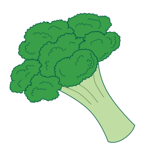 Broccoli PNG