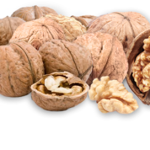 Walnut PNG