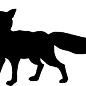 Fox PNG