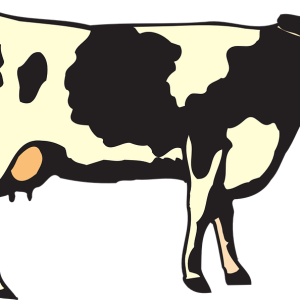 cow PNG
