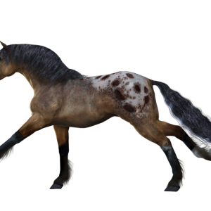 Horse png image