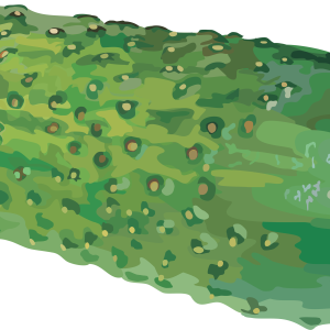 Cucumber PNG