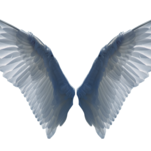 Wings PNG