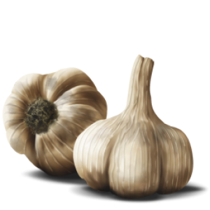 Garlic PNG