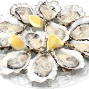 Mussel PNG