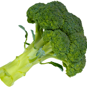 Broccoli PNG