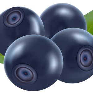 Blueberries PNG