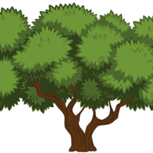 tree PNG
