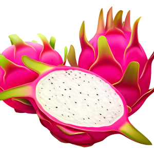 pitaya PNG