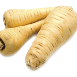 Horseradish PNG