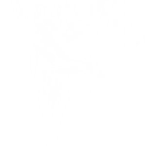 Smoke PNG