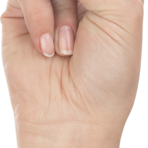 Hands PNG, hand image free