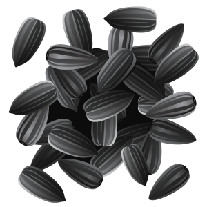 Sunflower seeds PNG