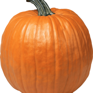 Pumpkin PNG
