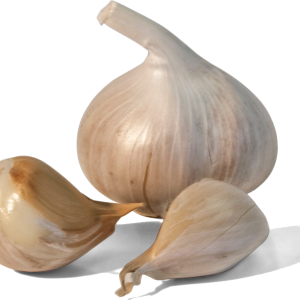 Garlic PNG