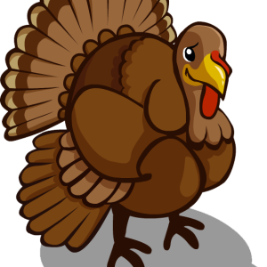 Turkey bird PNG