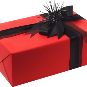 Gift box PNG