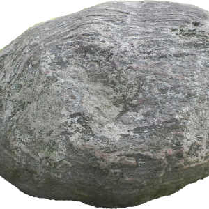 Asteroid PNG