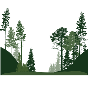 Forest PNG