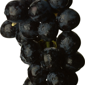 Black grape PNG image