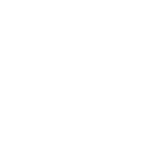 Vans shoes PNG