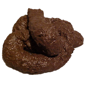 Poop PNG