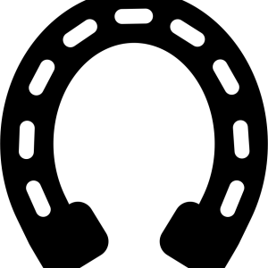 Horseshoe PNG