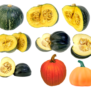 Pumpkin PNG