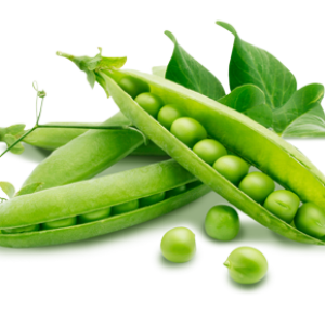 Pea PNG