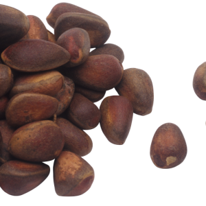 Pine nuts PNG