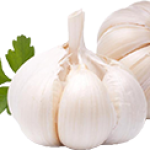Garlic PNG