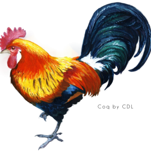 Cock PNG