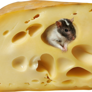 Cheese PNG