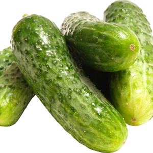 Several cucumbers PNG