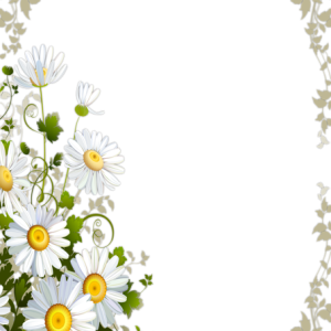 Picture, photo frame PNG
