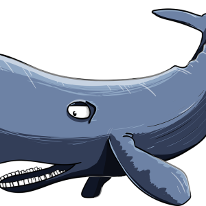 Sperm whale PNG drawing