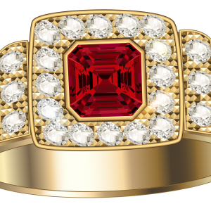 Jewelry PNG image