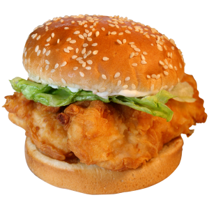 hamburger, burger PNG image