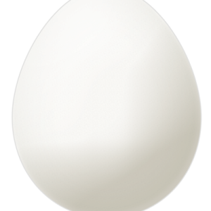Egg PNG image